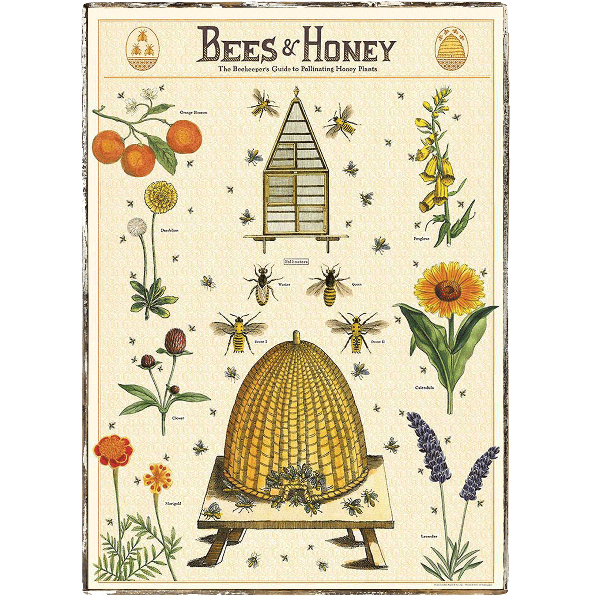 Bees & Honey Beekeepers Guide Framed Poster - true RED betty