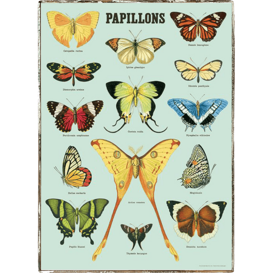 Butterfly Papillon Framed Poster - true RED betty