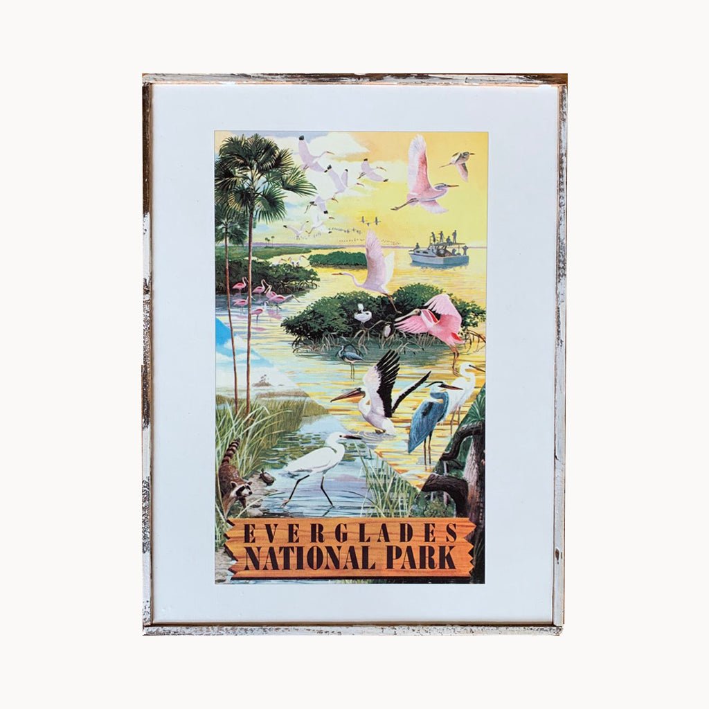 Everglades National Park Framed Print - true RED betty