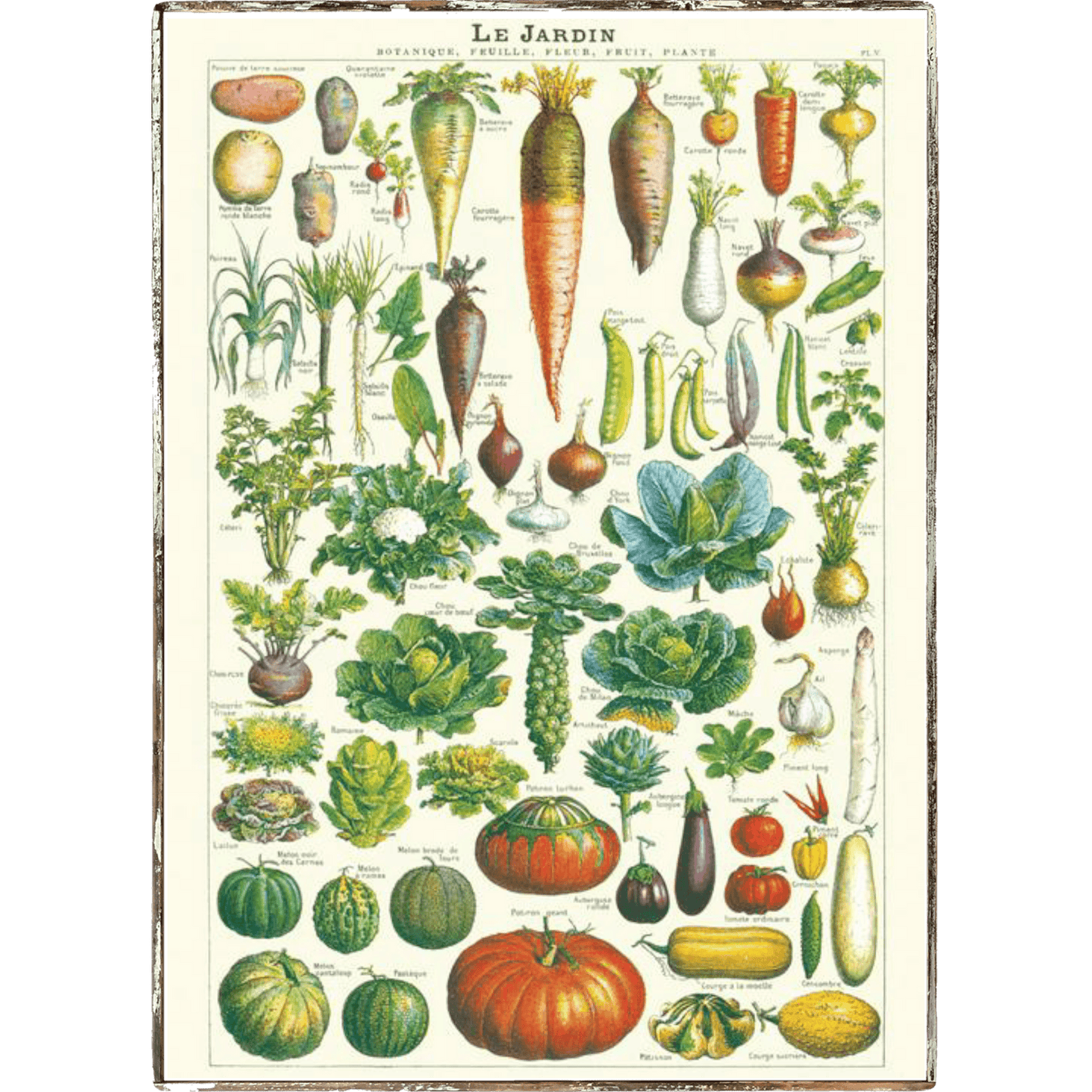 Garden (Le Jardin) Framed Poster - true RED betty