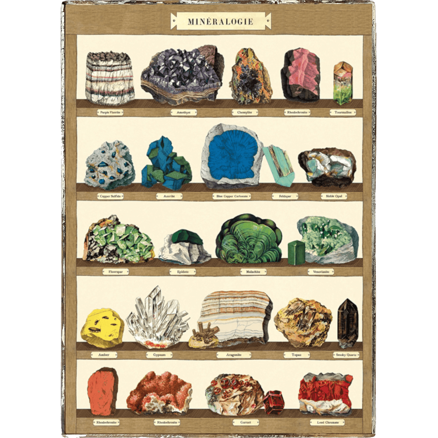 Minerals on shelf Framed Poster - true RED betty