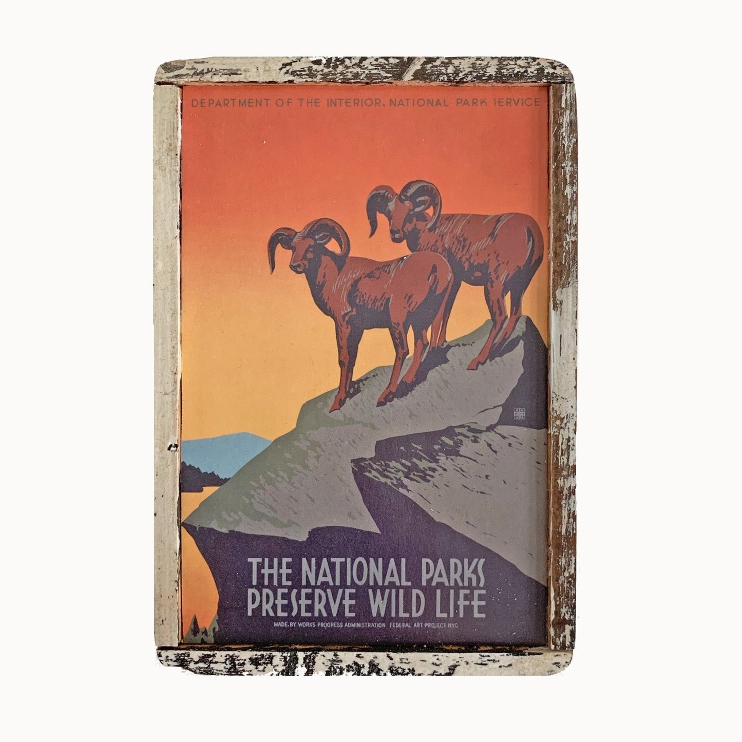 National Park Preserve Wildlife Framed Card - true RED betty