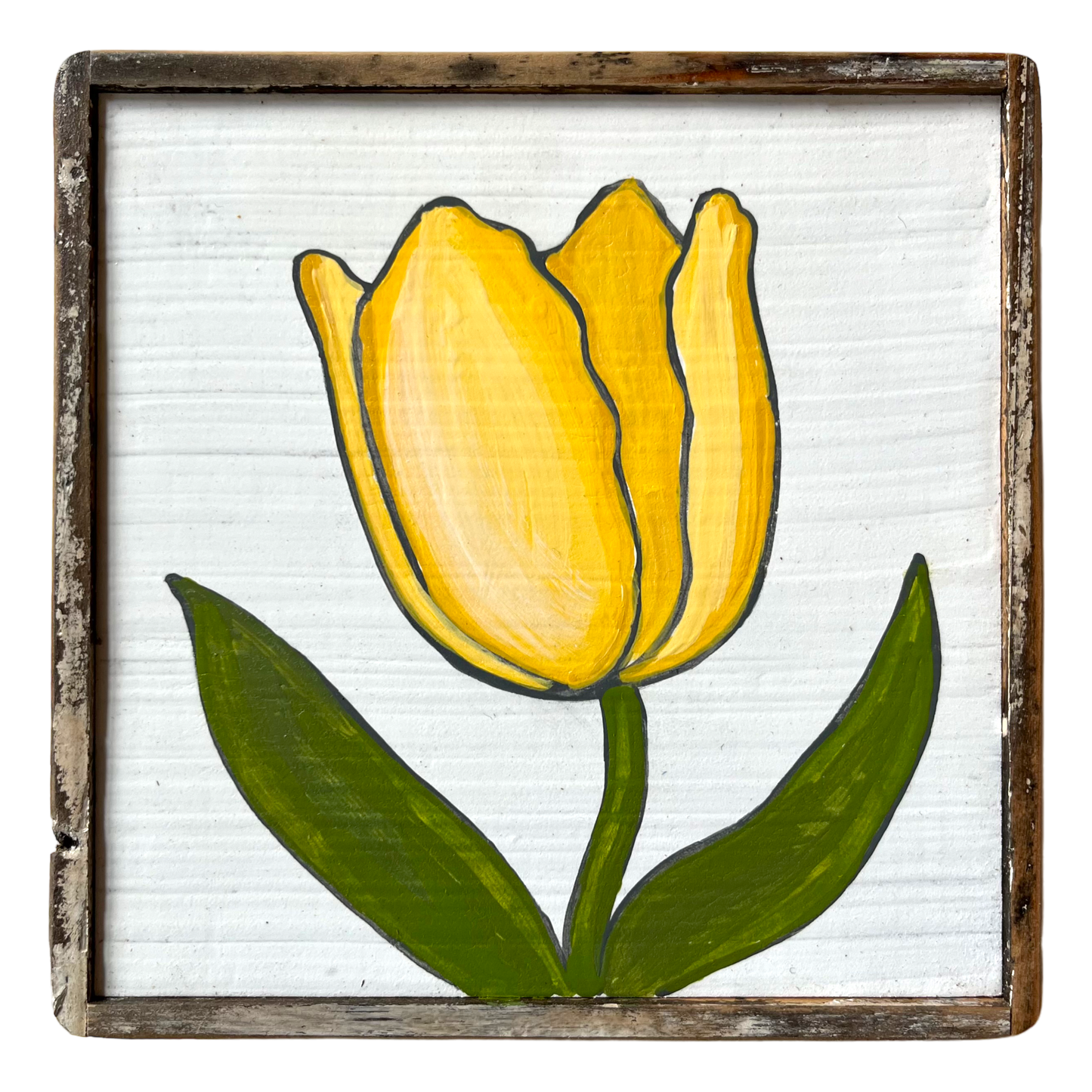 Tulip Paintings