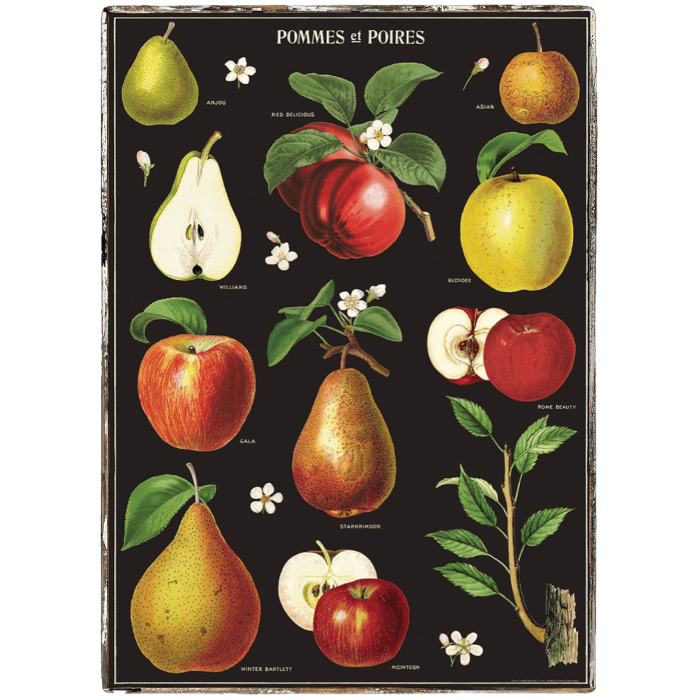 Apples and Pears Framed Poster - true RED betty