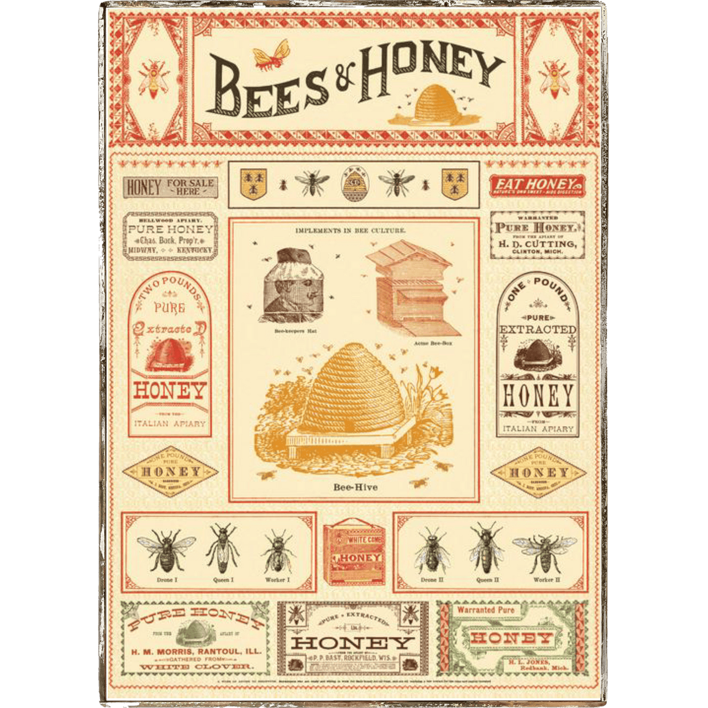 Bees & Honey Framed Poster - true RED betty