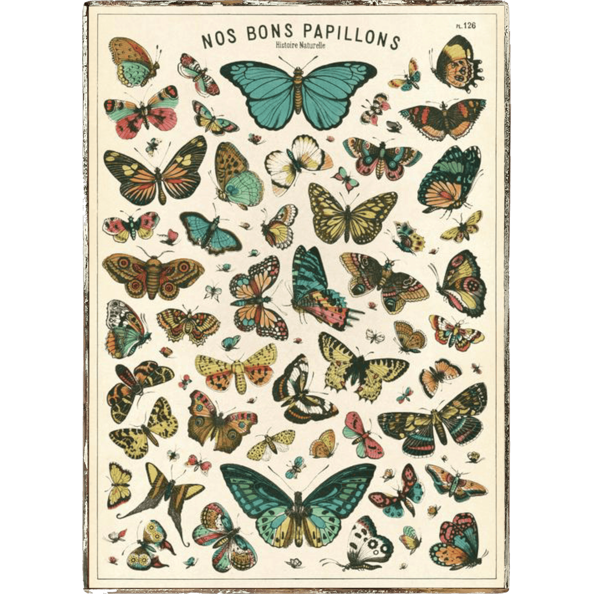Butterfly Nos Bons Framed Poster - true RED betty