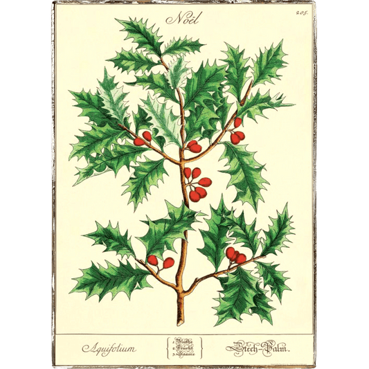 Christmas Holly Framed Poster - true RED betty