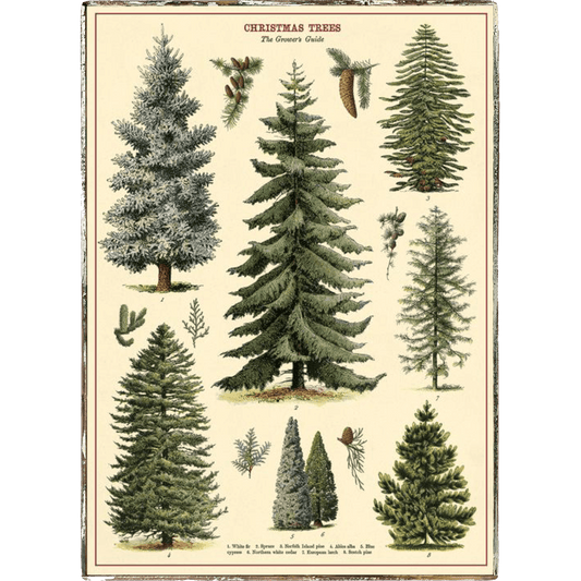 Christmas Trees Framed Poster - true RED betty