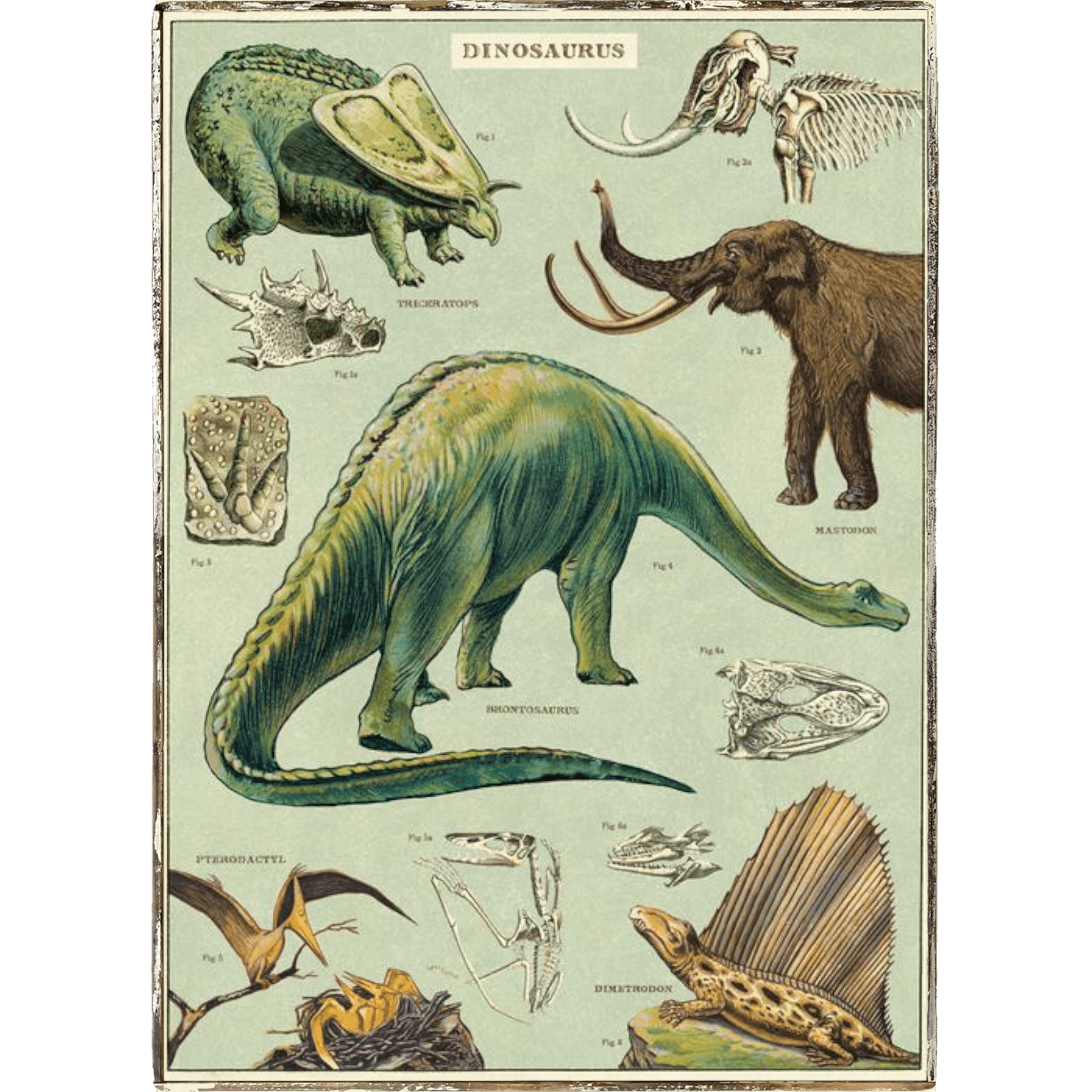 Dinosaur Framed Poster - true RED betty