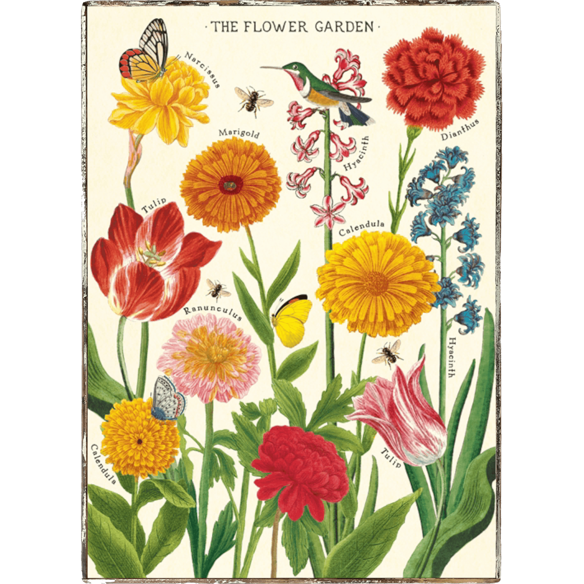 Flower Garden Framed Poster - true RED betty