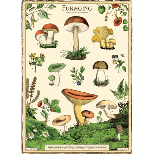 Foraging Mushrooms Framed Poster - true RED betty