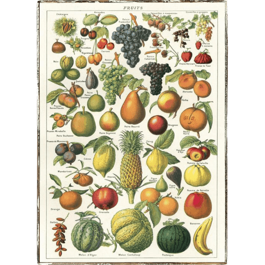 French Fruit Chart Framed Poster - true RED betty