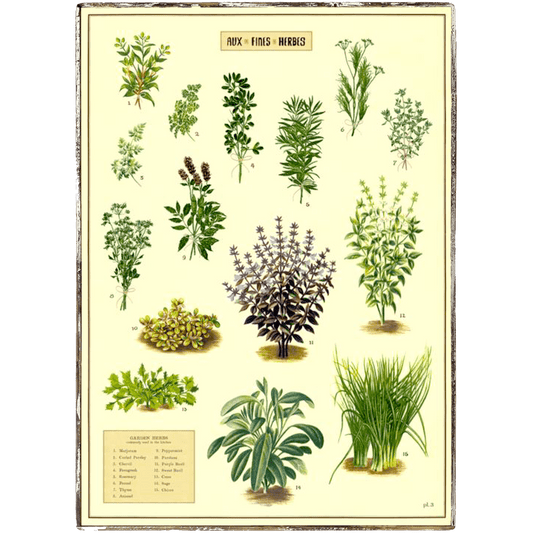 Herbs Framed Poster - true RED betty