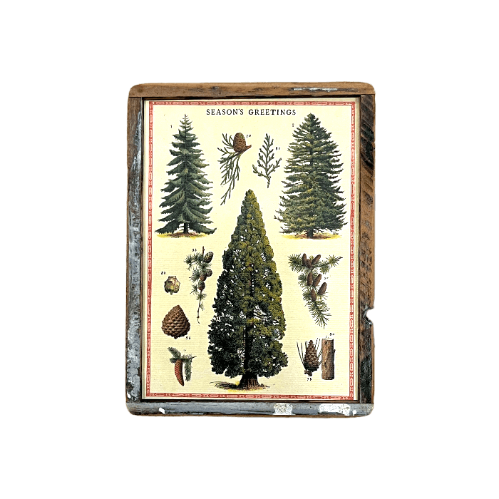 Littlest Season’s Greetings Christmas Trees - true RED betty