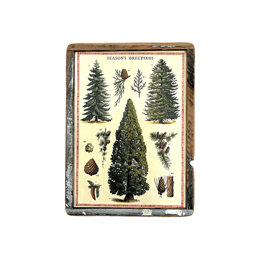 Littlest Season’s Greetings Christmas Trees - true RED betty