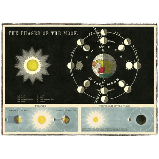 Moon Phases Framed Poster - true RED betty