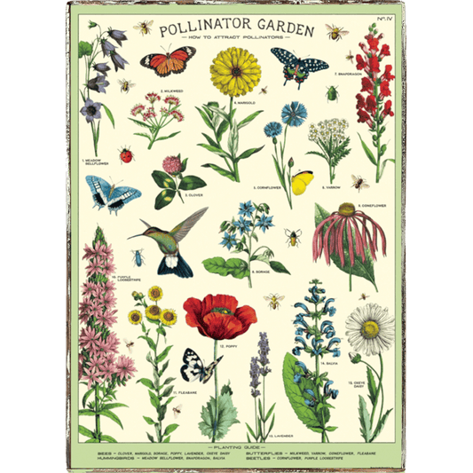 Pollinator Garden Framed Poster - true RED betty