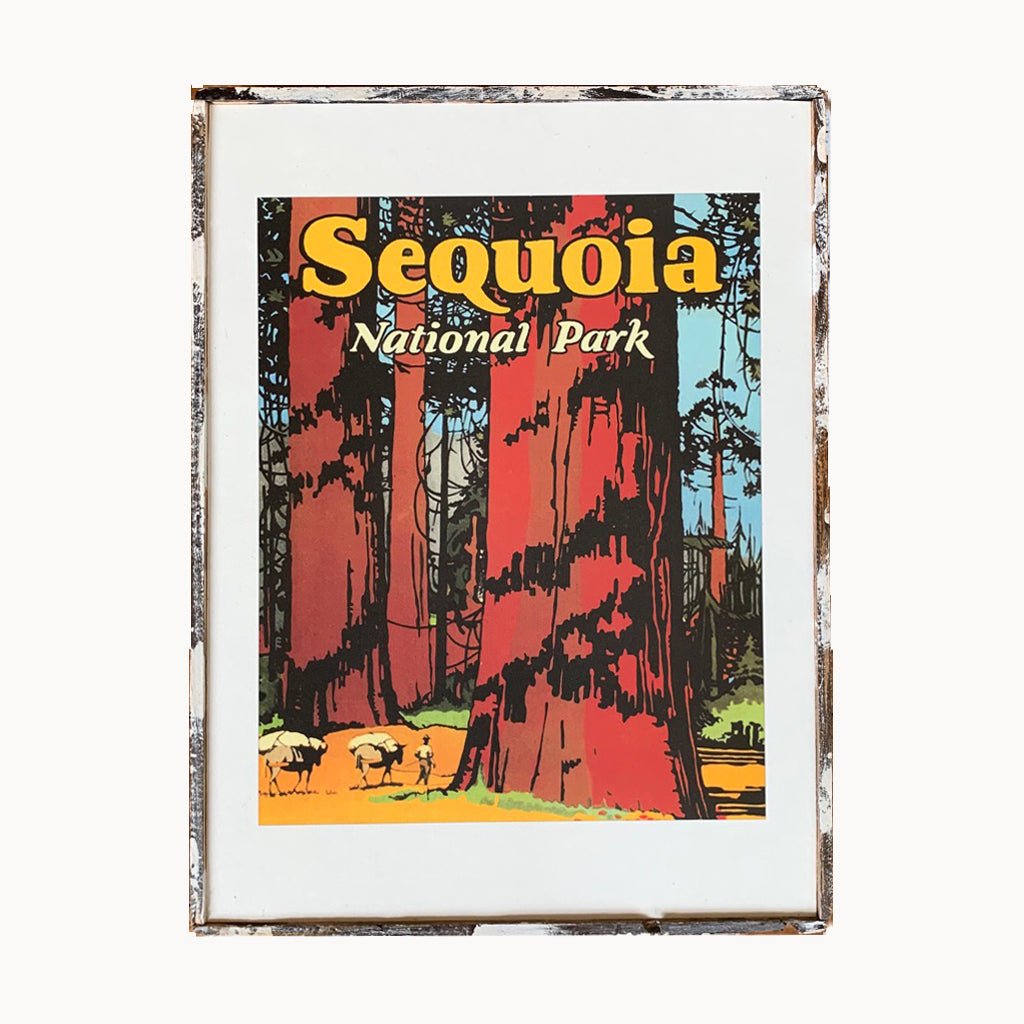Sequoia National Park Framed Print - true RED betty