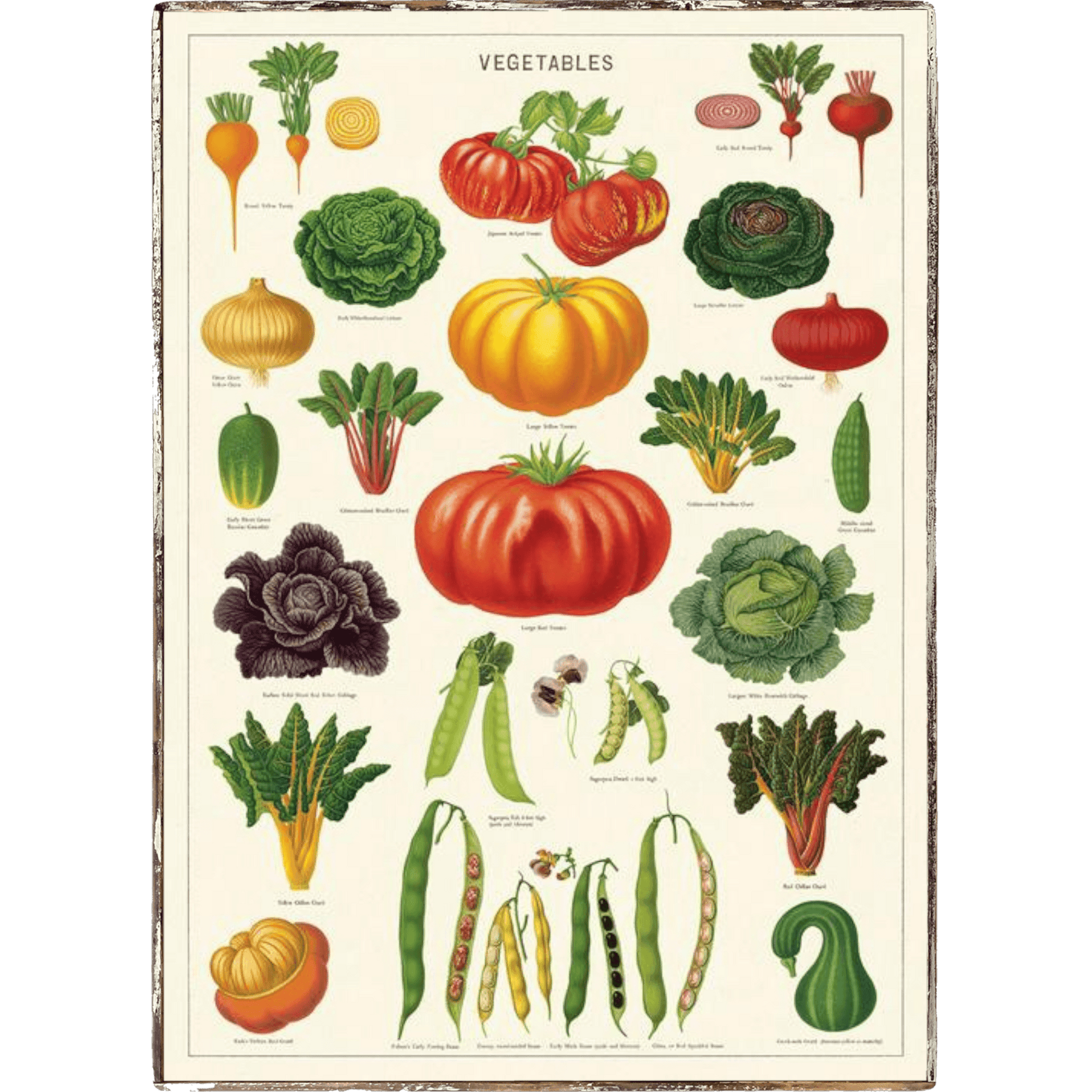 Vegetables Framed Poster - true RED betty